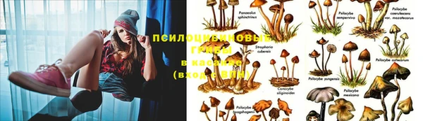 героин Карталы